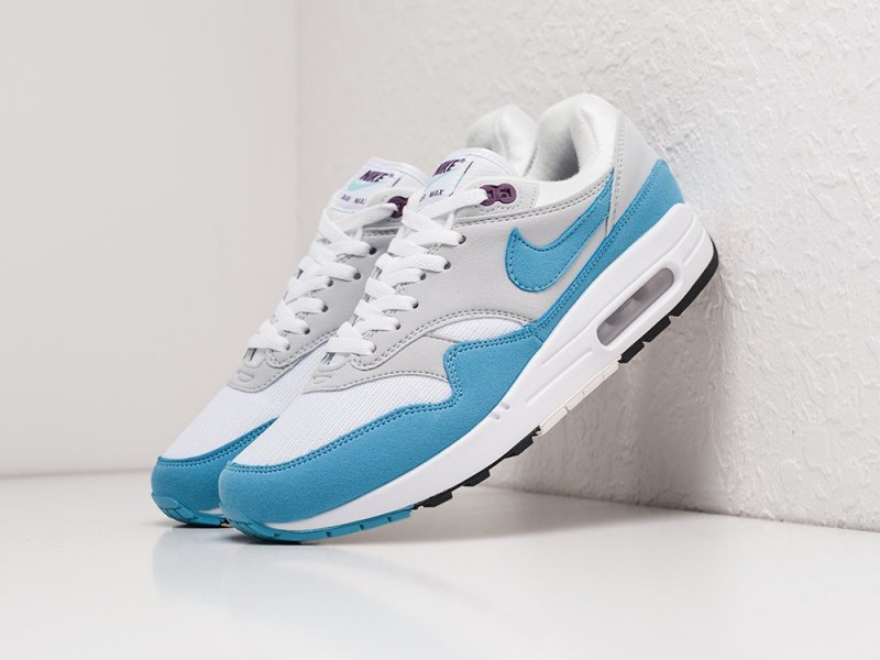 Nike Air Max 1