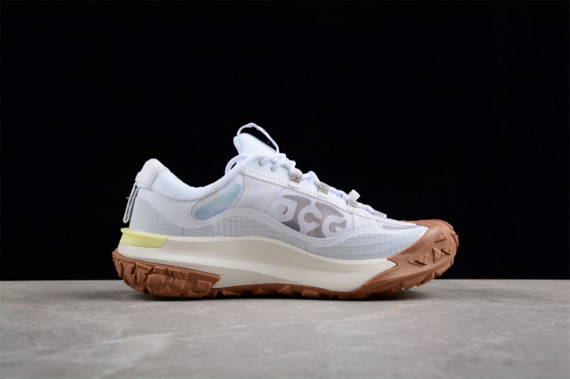 Nike ACG Mountain Fly 2 Low