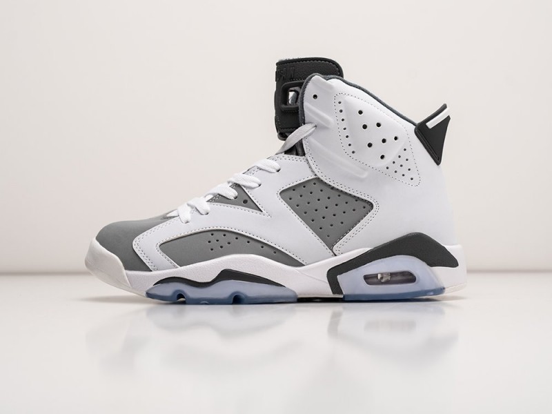 Nike Air Jordan 6