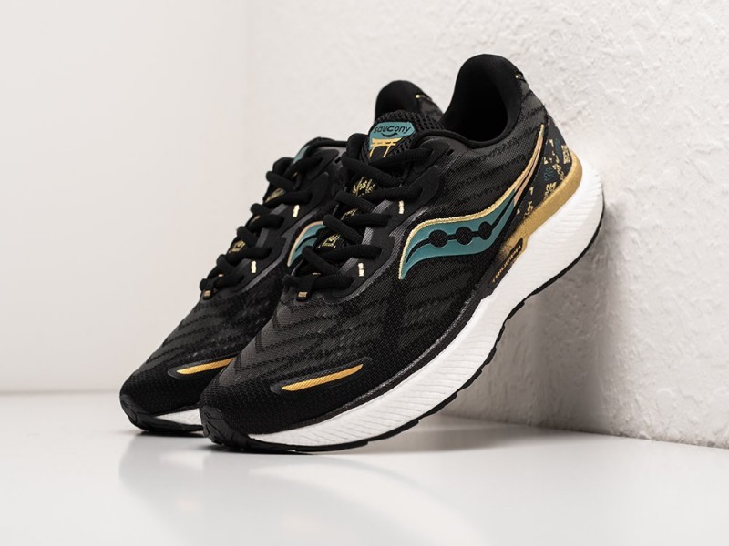 Saucony Triumph 19