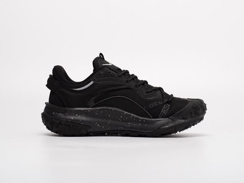 Nike ACG Mountain Fly 2 Low