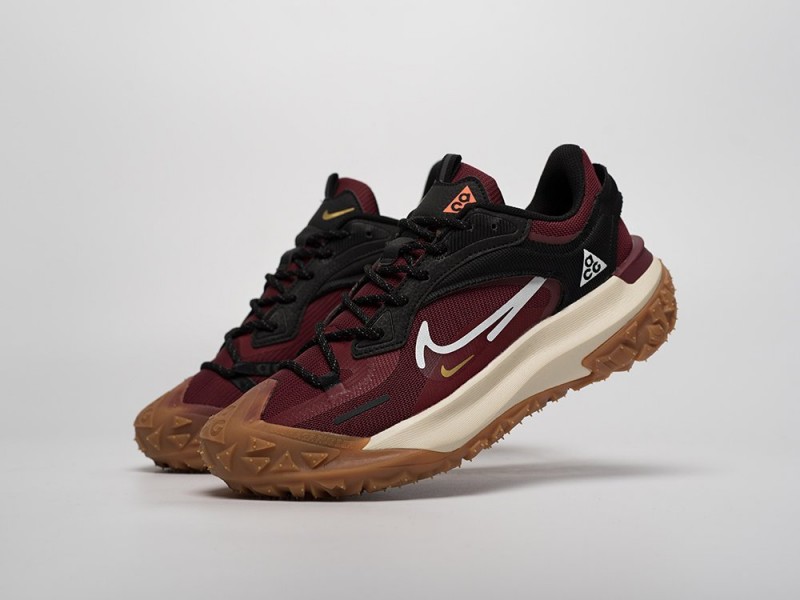 Nike ACG Mountain Fly 2 Low