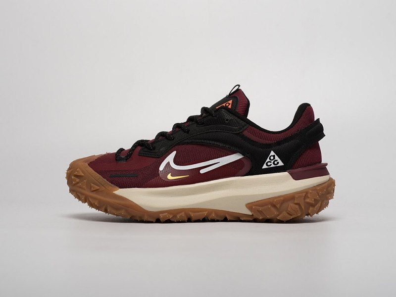 Nike ACG Mountain Fly 2 Low