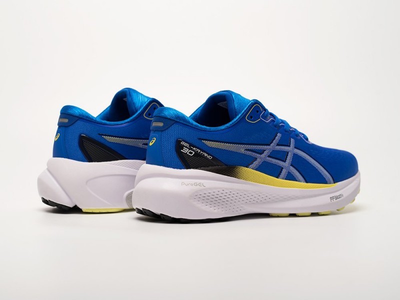 Asics Gel Kayano 30