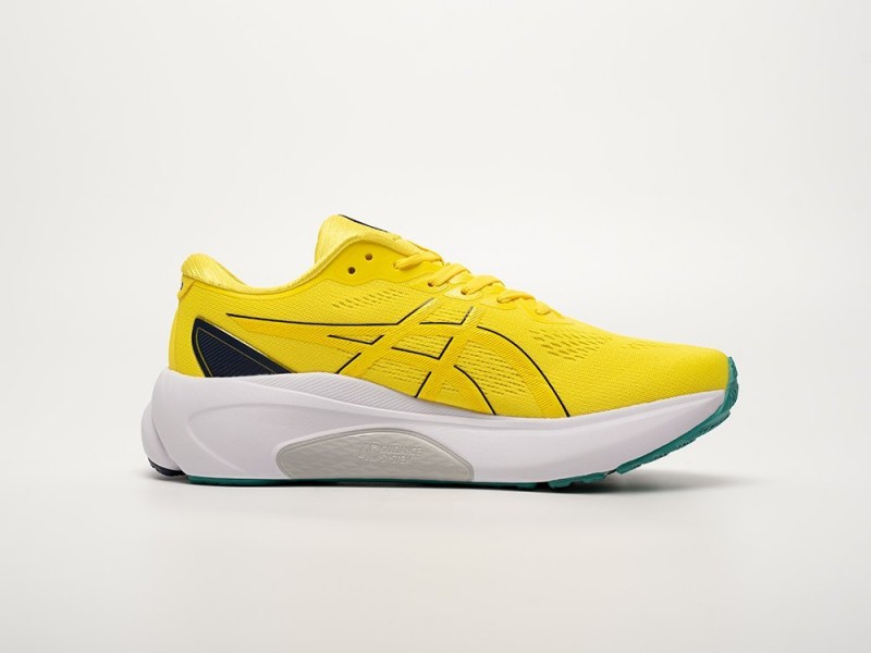 Asics Gel Kayano 30