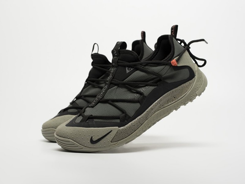 Nike ACG Air Terra Antarktik Low